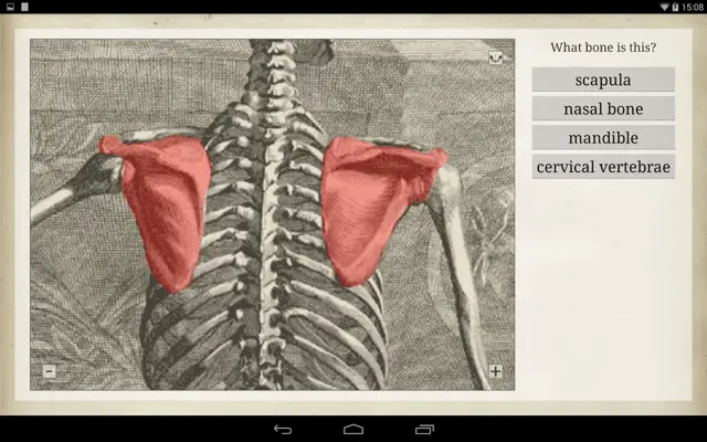 Bones android App screenshot 2