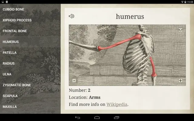 Bones android App screenshot 3